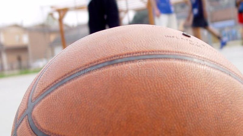 项目经理的日常：从图纸到绿意的全流程把控