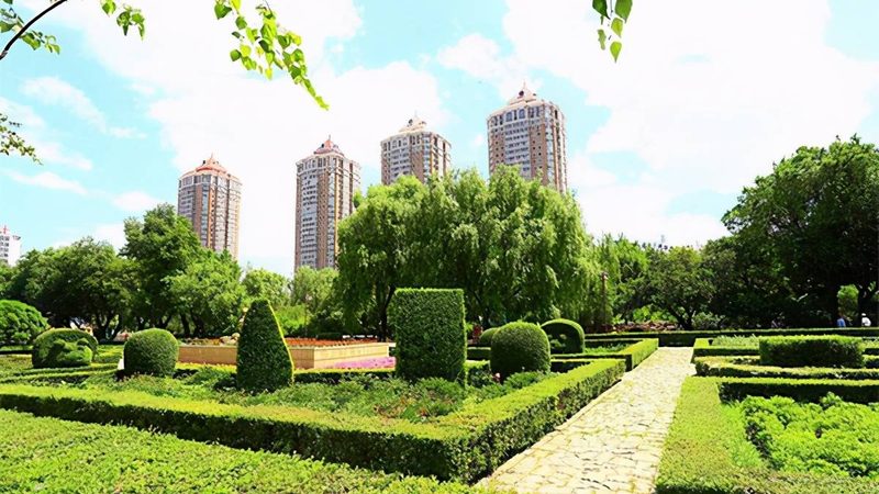 绿化竣工图审查要点：规范流程与质量把控