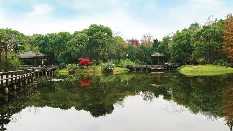 农村自建房庭院设计：如何打造宜居宜赏的绿色空间
