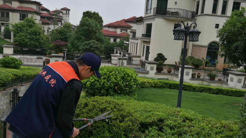 园林景观设计收费标准：揭秘行业定价之谜