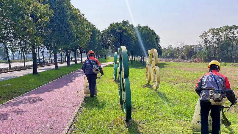 苗木种植：从选址到养护，全方位解析种植方法和步骤**