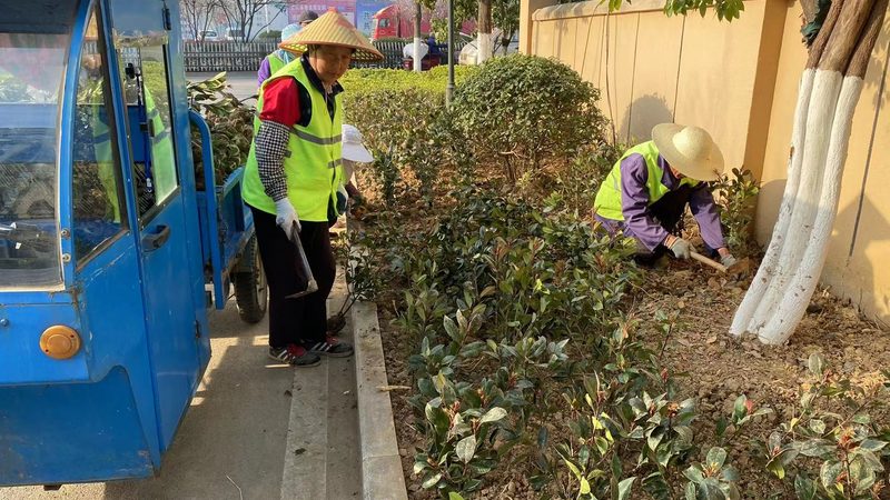 重庆边坡绿化草种价格：如何选择合适的产品？**