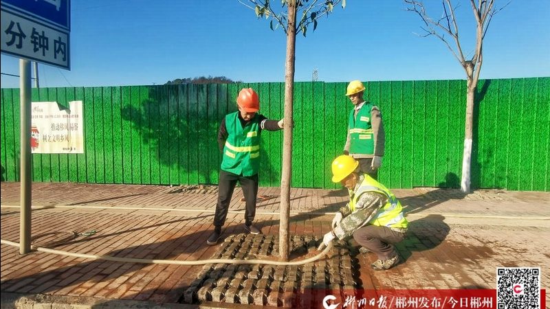 办公楼屋顶绿化：规格参数解析与施工要点**