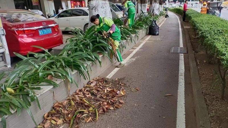 小区绿化预算：你真的了解它包含哪些项目吗？**