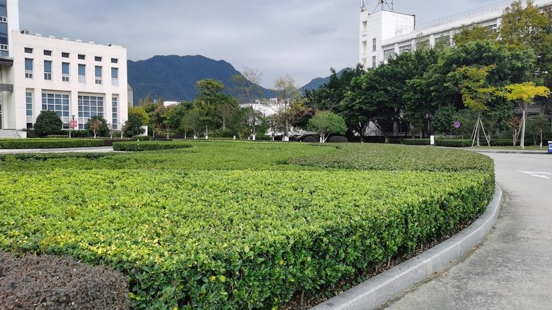 庭院假山鱼池设计：打造私家园林的五大注意事项